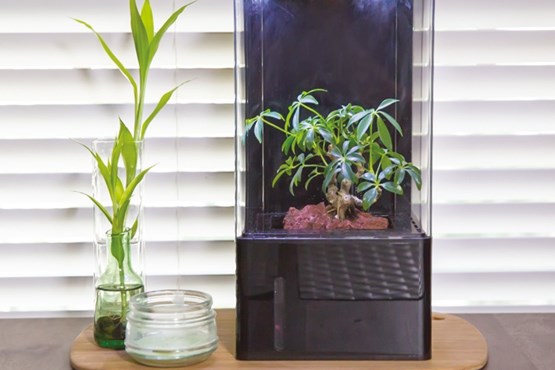 فضای سبز به خانه ها می آید