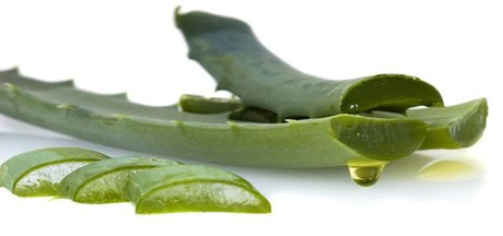 دیابتیها آلوئهورا بخورند دیابتیها آلوئهورا بخورند