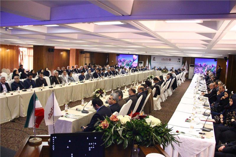 مدیرعامل بانک گردشگری: باید از رصد بازار به تولید محصول برسیم