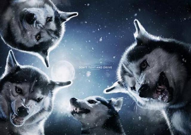 تصاویر جالب از تبلیغات اجتماعی خوب و حرفهای تصاویر جالب از تبلیغات اجتماعی خوب و حرفهای