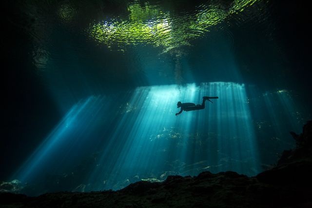 غواصی زیر نور (عکس)