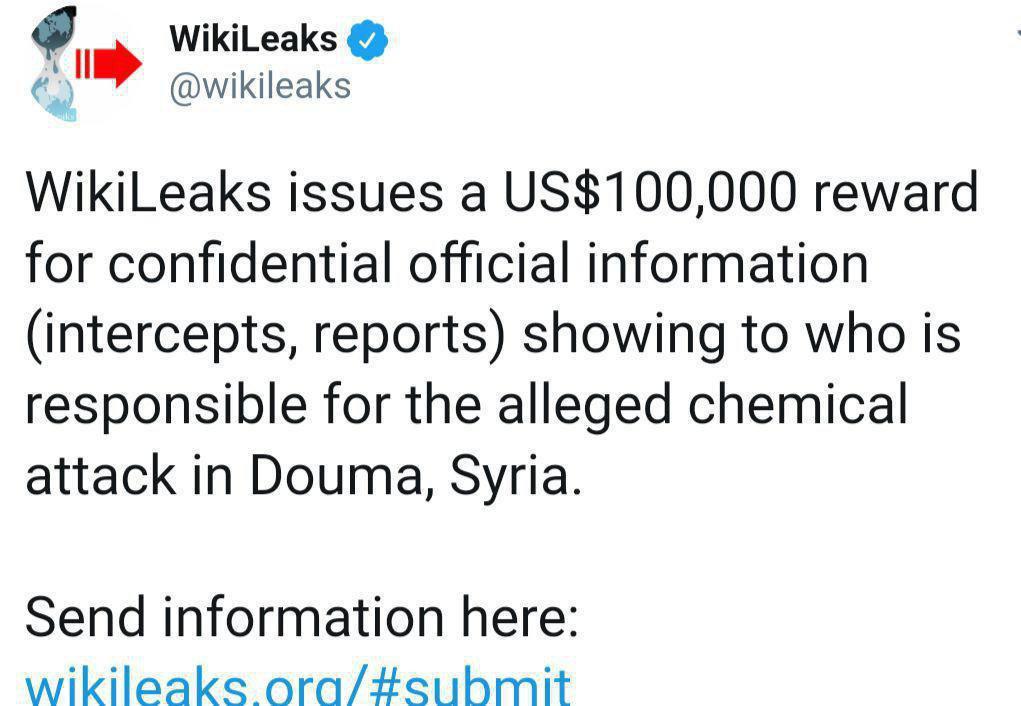 جایزه ۱۰۰ هزار دلاری ویکی لیکس برای اطلاعاتی درباره حمله شیمیایی در سوریه