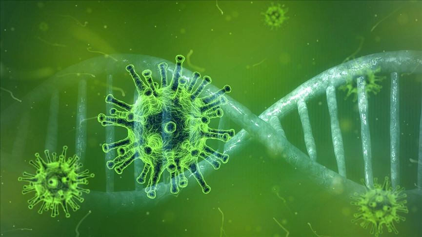 کرونا آمد، زنده باد ارتباط کرونا آمد، زنده باد ارتباط