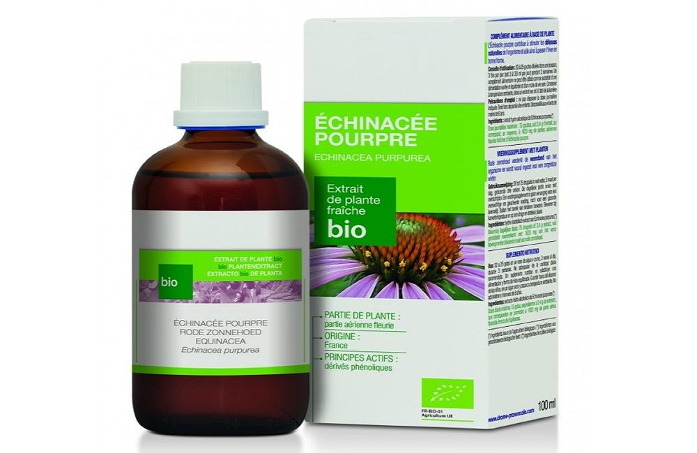 اکیناسه چیست و چه مزایایی برای بدن انسان دارد؟ اکیناسه چیست و چه مزایایی برای بدن انسان دارد؟