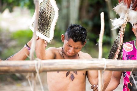 مورچهی گلولهزن با دردناکترین نیش روی زمین مورچهی گلولهزن با دردناکترین نیش روی زمین